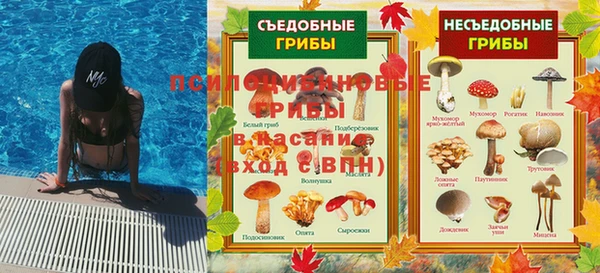 гидра Новодвинск