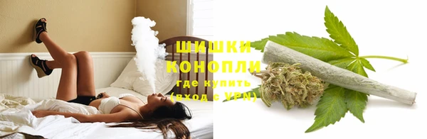 ECSTASY Новозыбков