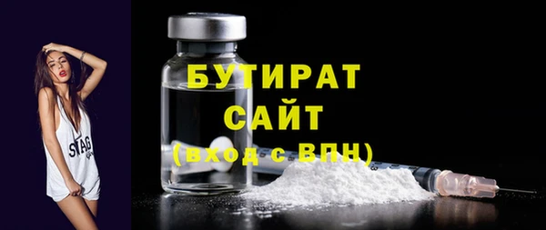гидра Новодвинск