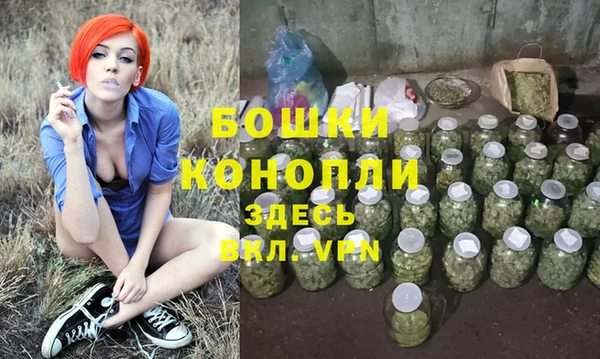 гидра Новодвинск